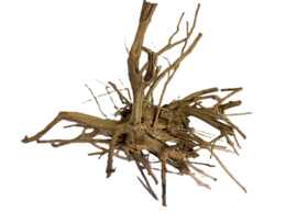 Driftwood Selected DW4 - 45x40x25cm