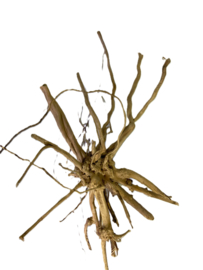 Driftwood Selected  DW52- 45x30x22cm