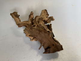 Coral Wood Selected CW68 - 36x14x20cm
