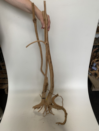 Boutique Stump Selected BS61 - 50x24x100cm