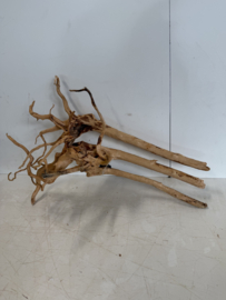 Boutique Stump Selected BS292 - 71x50x26cm