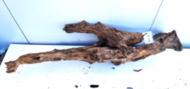 Osaka XL240 uniek aquarium decoratie hout  118x40x20cm