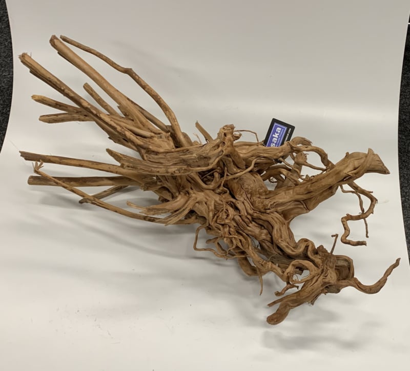 Authenticatie hoesten aangenaam Spiderwood 70-90cm groot, aquarium decoratie hout | Spider wood | G&D  Aquaria