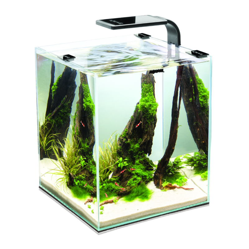 Controverse Jurassic Park Het beste Osaka Shrimp Aquarium Set Nano Cube Smart 10 liter | Osaka Cube's | G&D  Aquaria