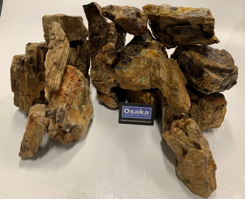 Petrified stone 10-20cm aquarium stenen rotsen | G&D Aquaria