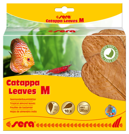Sera Catappa Leaves Medium 10 stuks