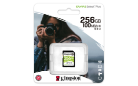 Kingston SD Card 256GB