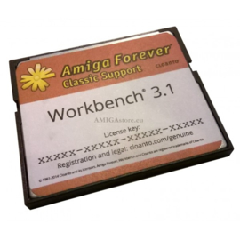 Workbench 3.1 16GB CF card