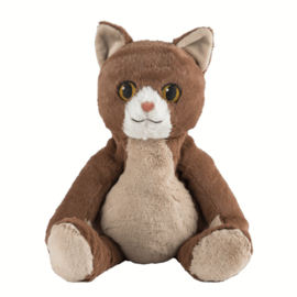 Warmie: Zittende kat