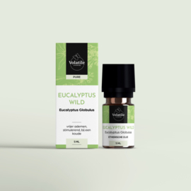 Volatile Eucalyptus wild 5 ml