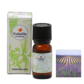 Volatile Lavendel-berg 5 ml