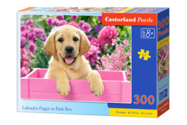 Labrador puppy in pink box Castorland B-030071
