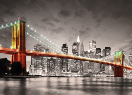New York Brooklyn Bridge 1000 stukjes