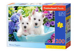 Westie Puppies Castorland B-222032