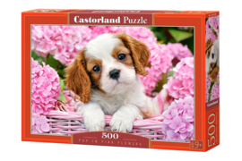 Pup in pink flowers Castorland B-52233