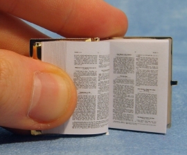 00662 Bijbel. (AG) (XA031)