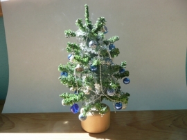 Kerstboom