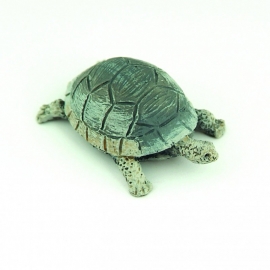 00330 Schildpad. (AK)