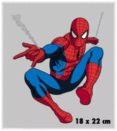 Spiderman. groot. 18 x 22 cm