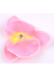 Orchidee. Roze / Geel