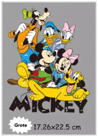 Mickey en family