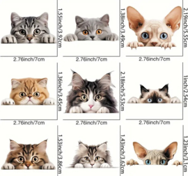 Gluurkat 3