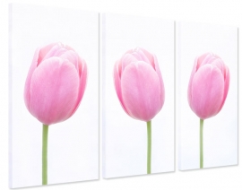 Canvas Drieluik Tulpen