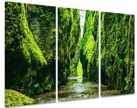 Leinwandbild Grüne Schlucht
