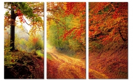 Canvasdoek Herfst