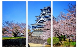 Kumamoto Kasteel Japan