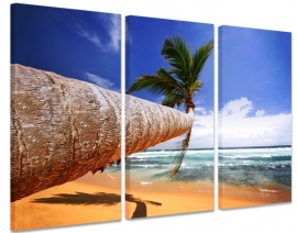 Palmboom canvas drieluik