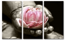 PINK LOTUS FLOWER