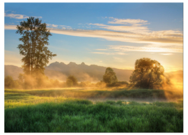 Foto schilderij misty field