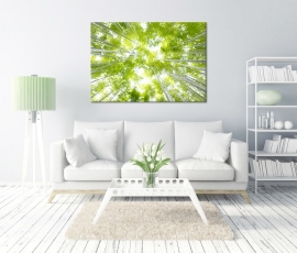 Canvasdoek Bamboe