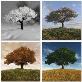 Seasons Vierluik op canvas