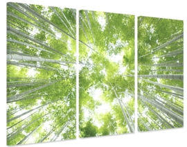 Groot drieluik canvas bamboe