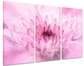 Schilderij Roze Chrysant