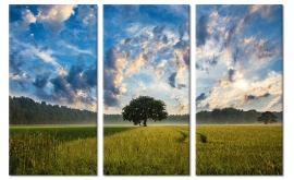 Schilderij Boom in Veld