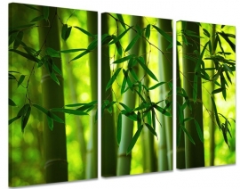 Canvas bamboe