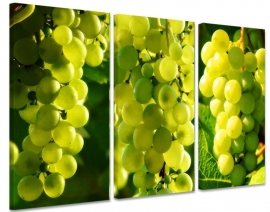 Grapes