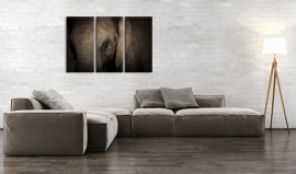 Schilderij Olifant