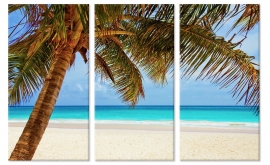 Poster mit tropischem Strand