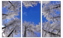 Winter Bomen Schilderij