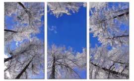 Malerei der Winterbäume