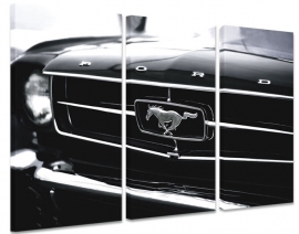 Mustang schwarz weiß