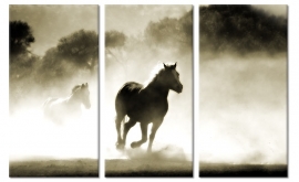 HORSES RUNNING