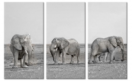 Schwarz-weiße Malerei Elefanten
