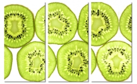 Kiwi Schilderij