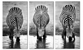 Canvas Drieluik Drinkende Zebra's