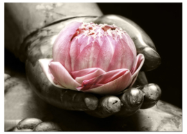 PINK LOTUS FLOWER